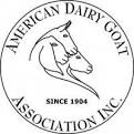 ADGA Purebred Registered Nigerian Dwarf Dairy Goat