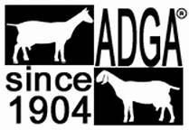  ADGA Registered Nigerian Dwarf Dairy Goats