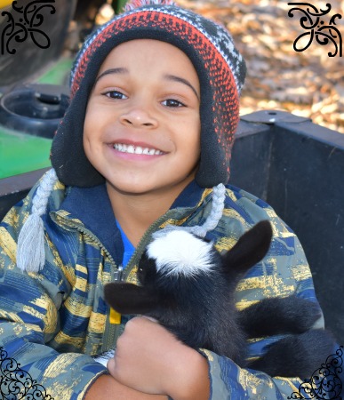 AppleJo Farms Goat Program Kids