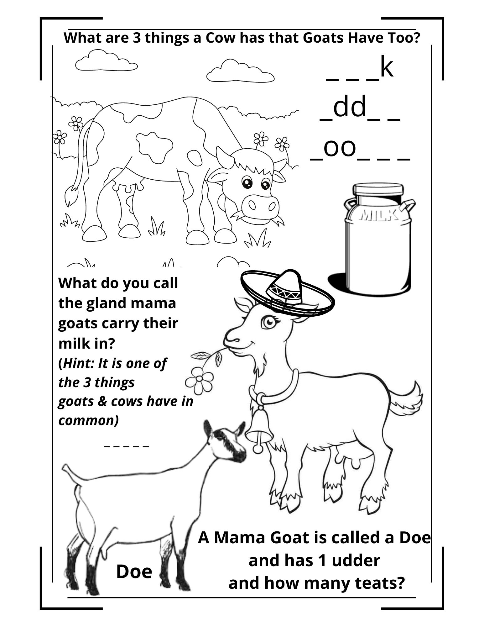 AppleJo Farms Goat Activity Coloring Book