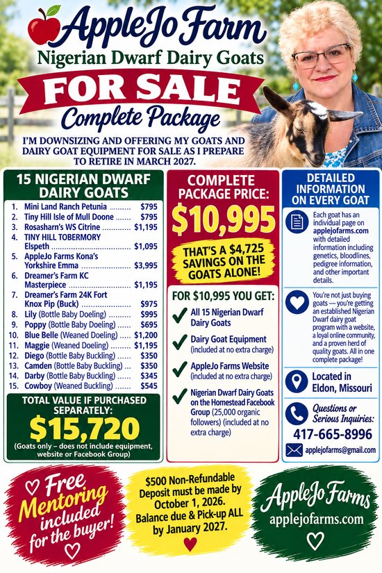 Nigerian Doe For Sale in Missouri Nigerian Doe For Sale in Missouri