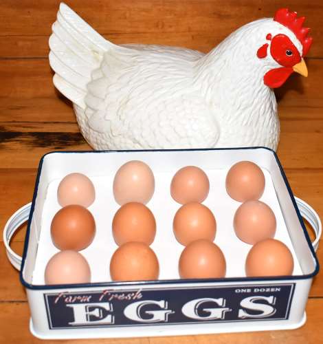 AppleJo Farms Eggs