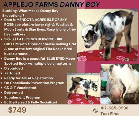 danny boy