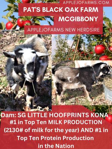 #1 in Top Ten MILK PRODUCTION (2130# of milk for the year) AND #1 in Top Ten Protein Production in the Nation