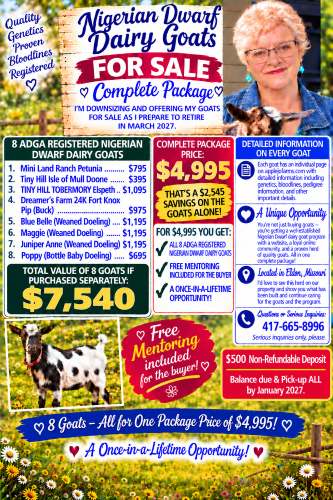 AppleJo Farms is retiring in 2027 and selling all of my beloved Nigerian Goats to Homesteaders