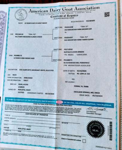 Dreamer's Farm KC Masterpiece Sire