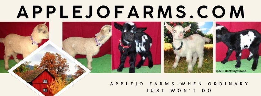 Nigerian Dwarf baby goats for sale in missouri