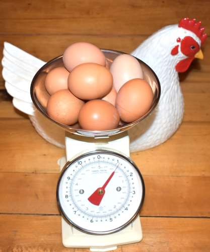 Eggs For Sale