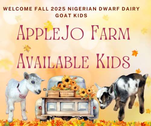 KIDS FOR SALE