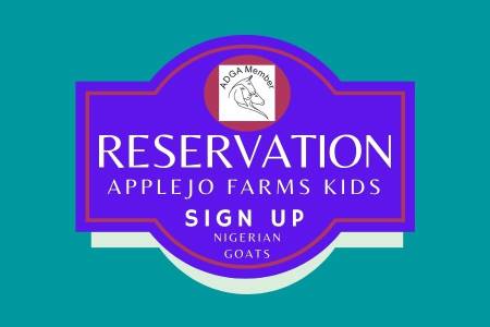 Reservations For Kids